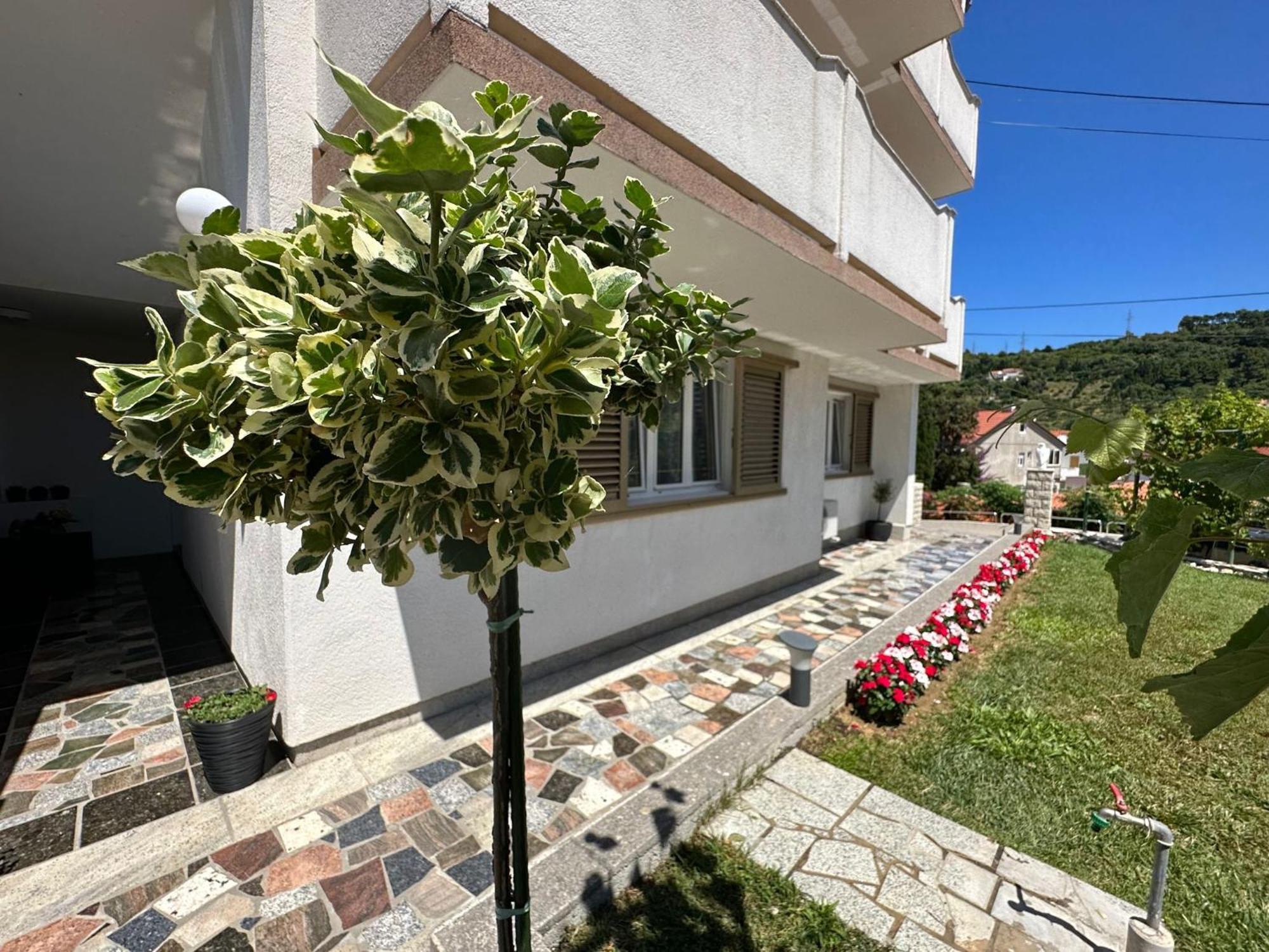 Apartmani Vinko near Rab center Rab Town Esterno foto